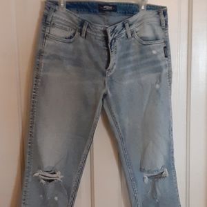 Aiko silver crop Jean's 33x25
